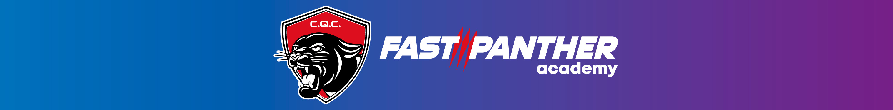 Fast Panther Academy